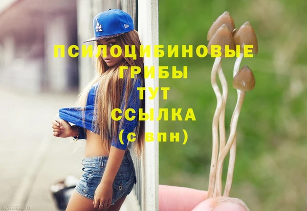 ECSTASY Баксан